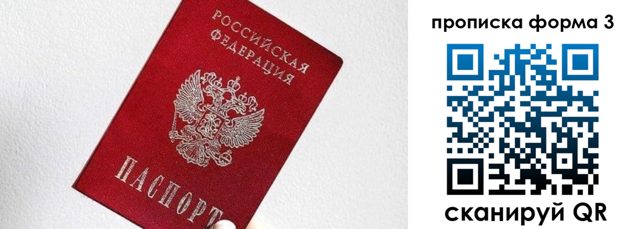 временная регистрация гарантия в Ясном
